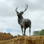 Hamish Mackie